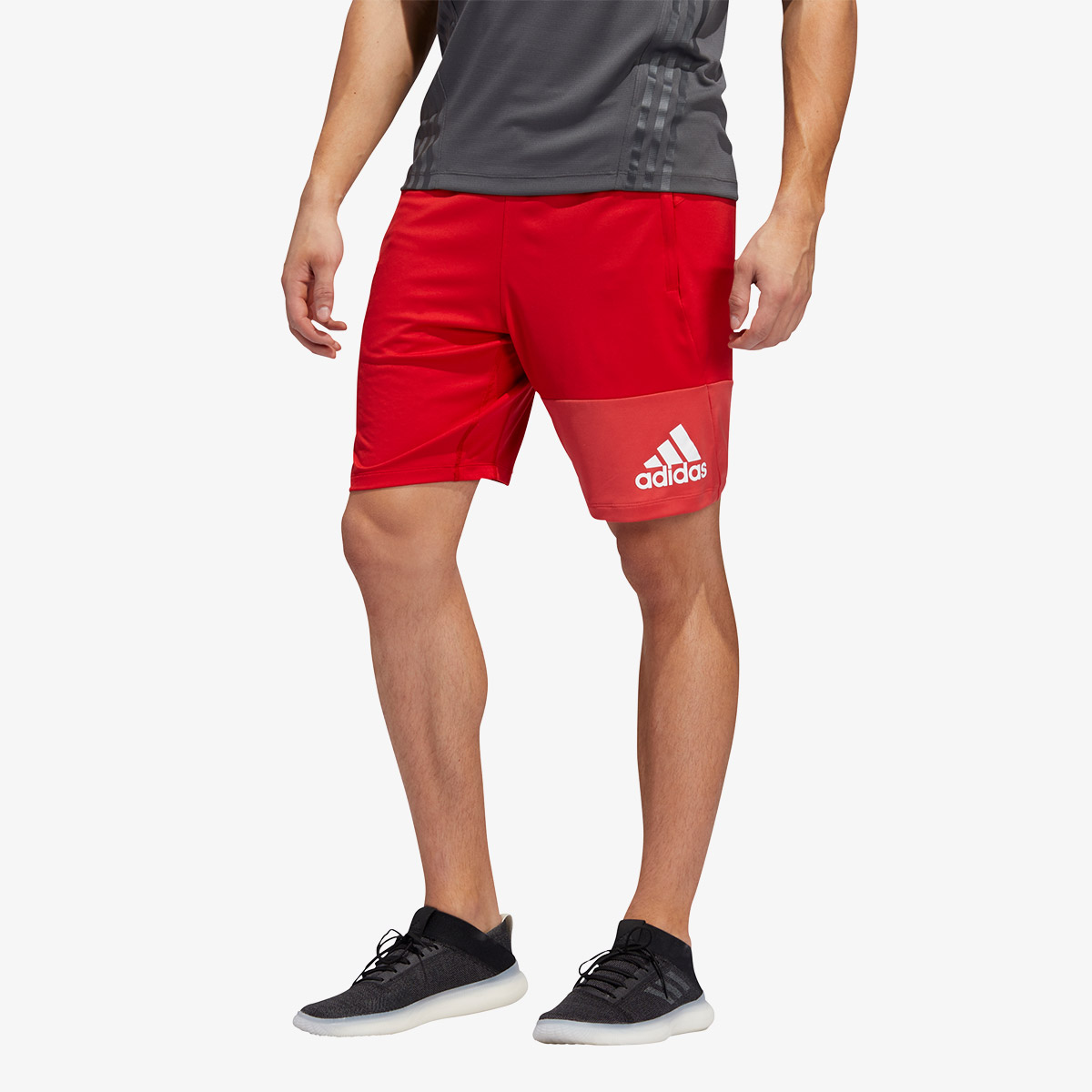 Adidas 4k geo shorts online