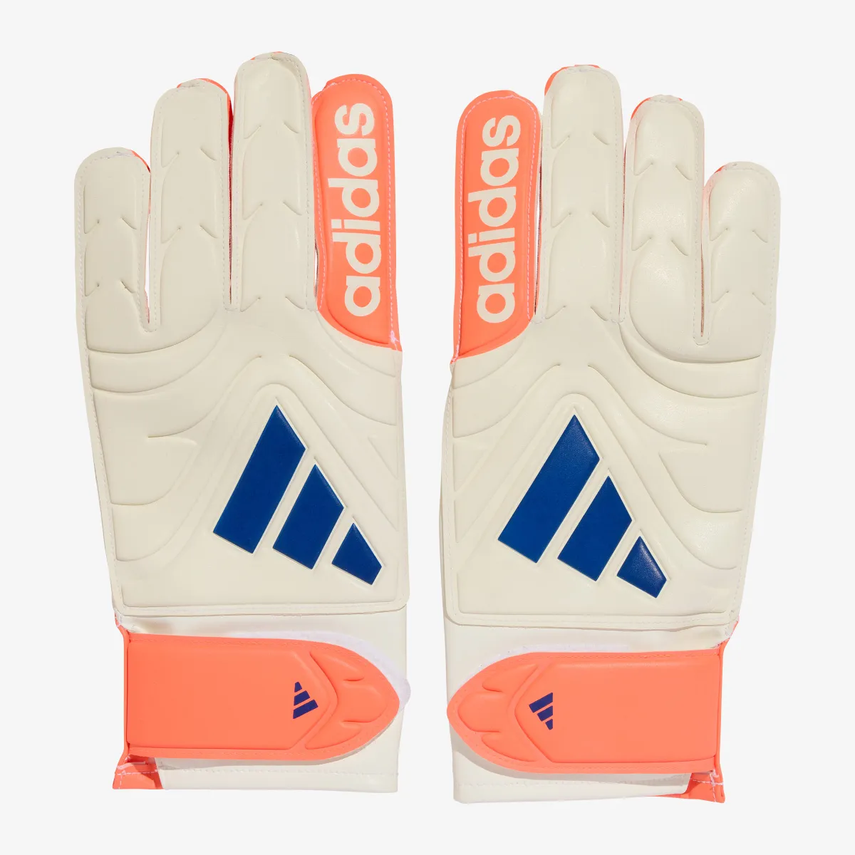 ADIDAS Golmanske rukavice COPA GL CLB