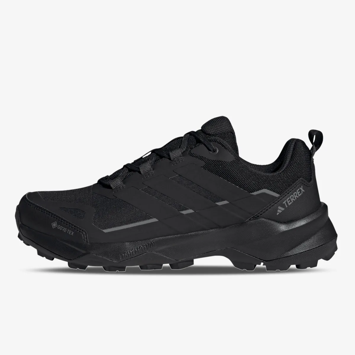 ADIDAS Cipele terrex skychaser ax5 gtx M