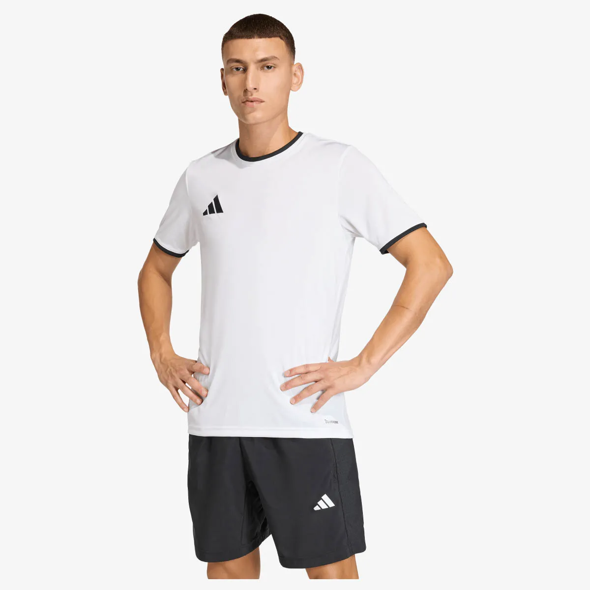 ADIDAS Dres Entrada26