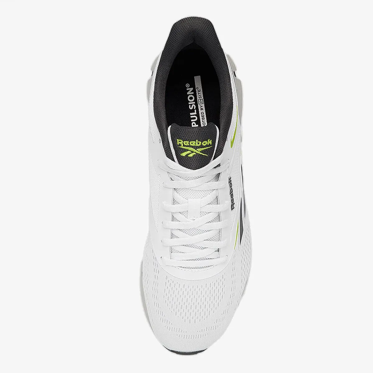 REEBOK Patike ZIG DYNAMICA 6 
