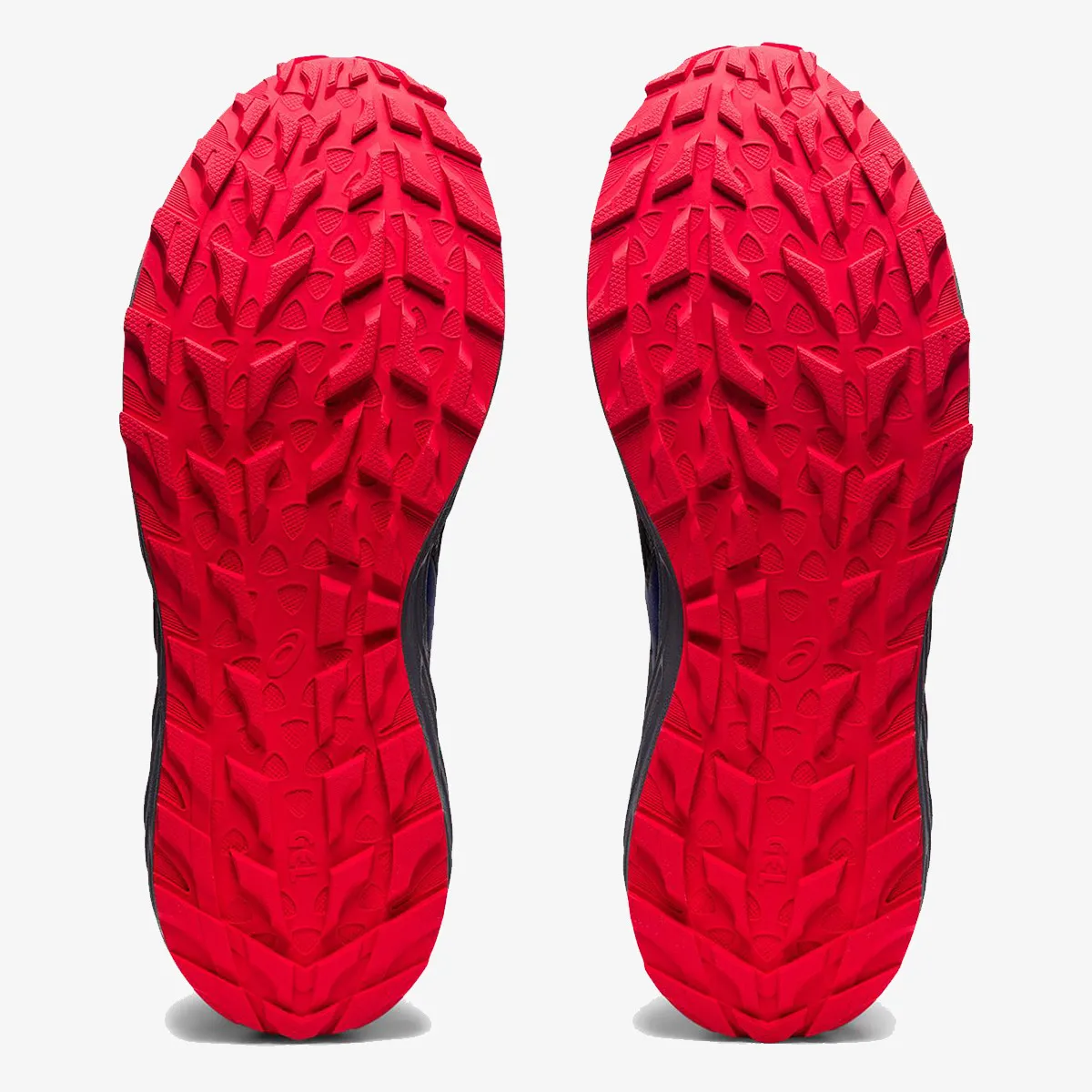 ASICS Patike GEL-SONOMA 6 GTX 