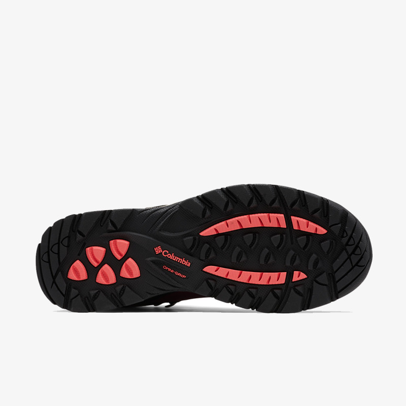COLUMBIA Cipele NEWTON RIDGE™ PLUS