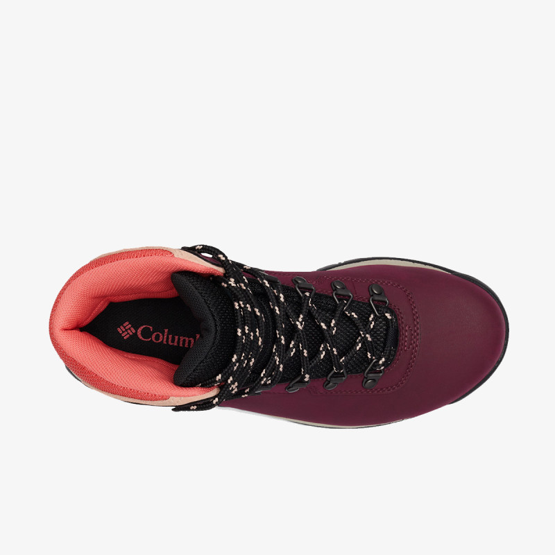 COLUMBIA Cipele NEWTON RIDGE™ PLUS