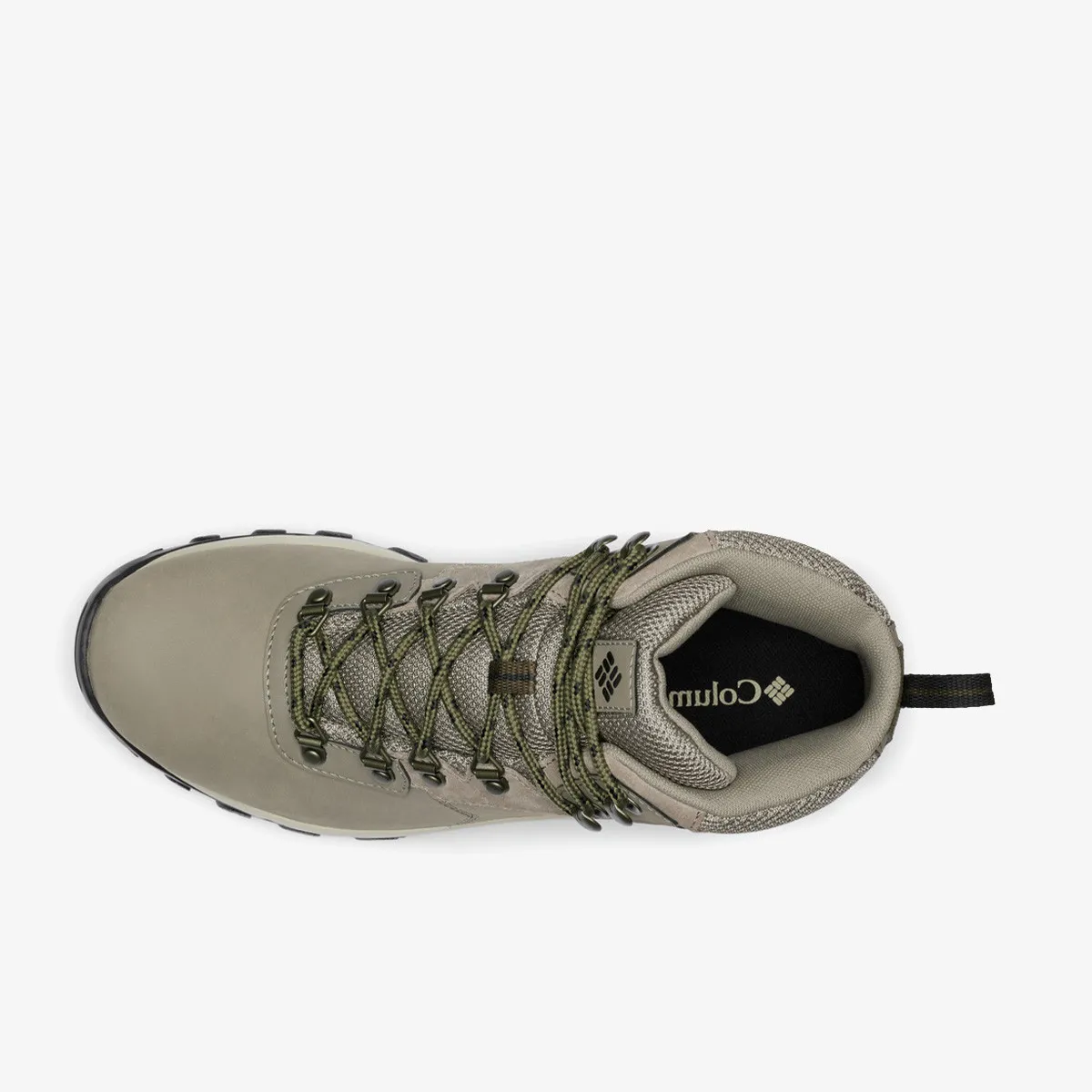 COLUMBIA Cipele Newton Ridge™ Plus II