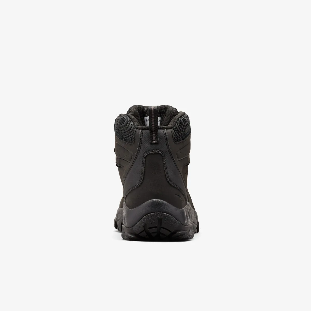 COLUMBIA Cipele NEWTON RIDGE™ PLUS II WATERPROOF