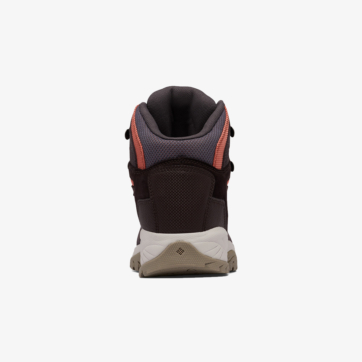 COLUMBIA Cipele NEWTON RIDGE™ PLUS