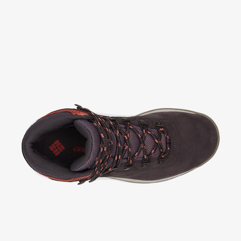 COLUMBIA Cipele NEWTON RIDGE™ PLUS