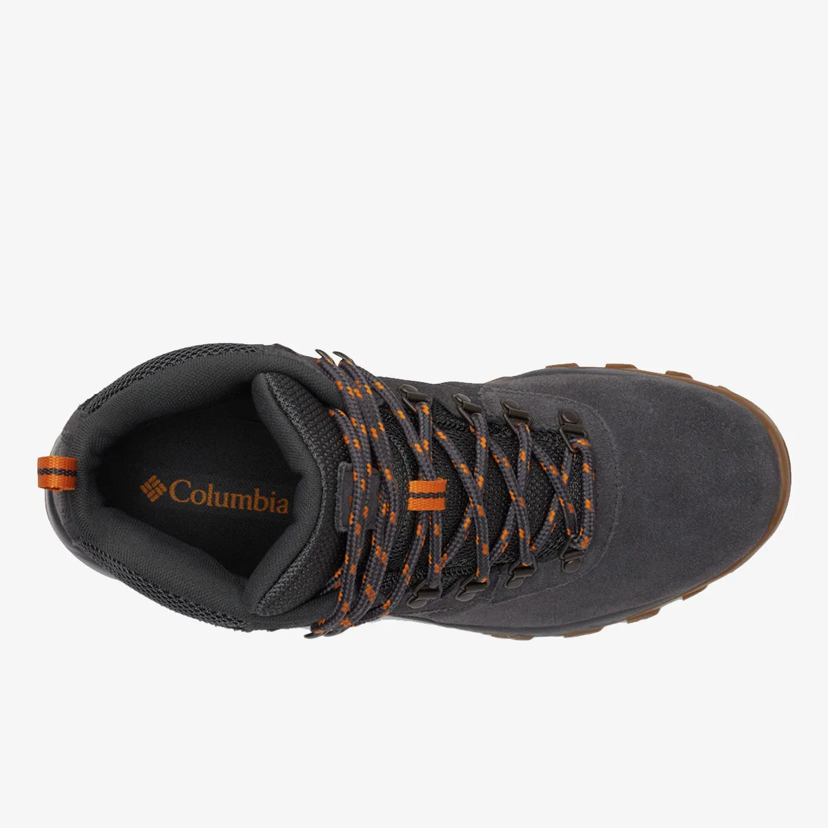COLUMBIA Cipele Newton Ridge™ Plus II