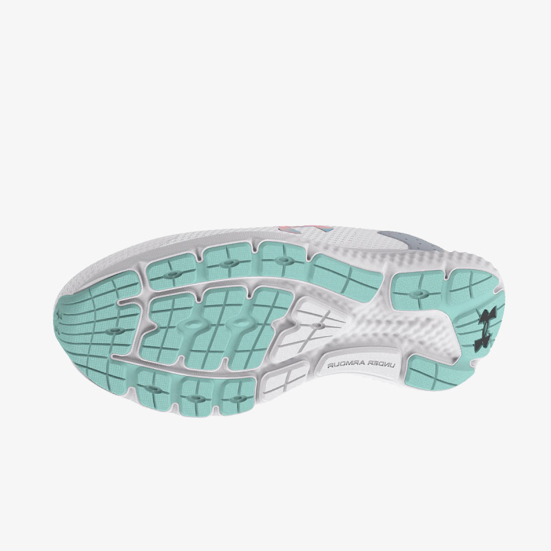 UNDER ARMOUR Patike Charged Rogue 3