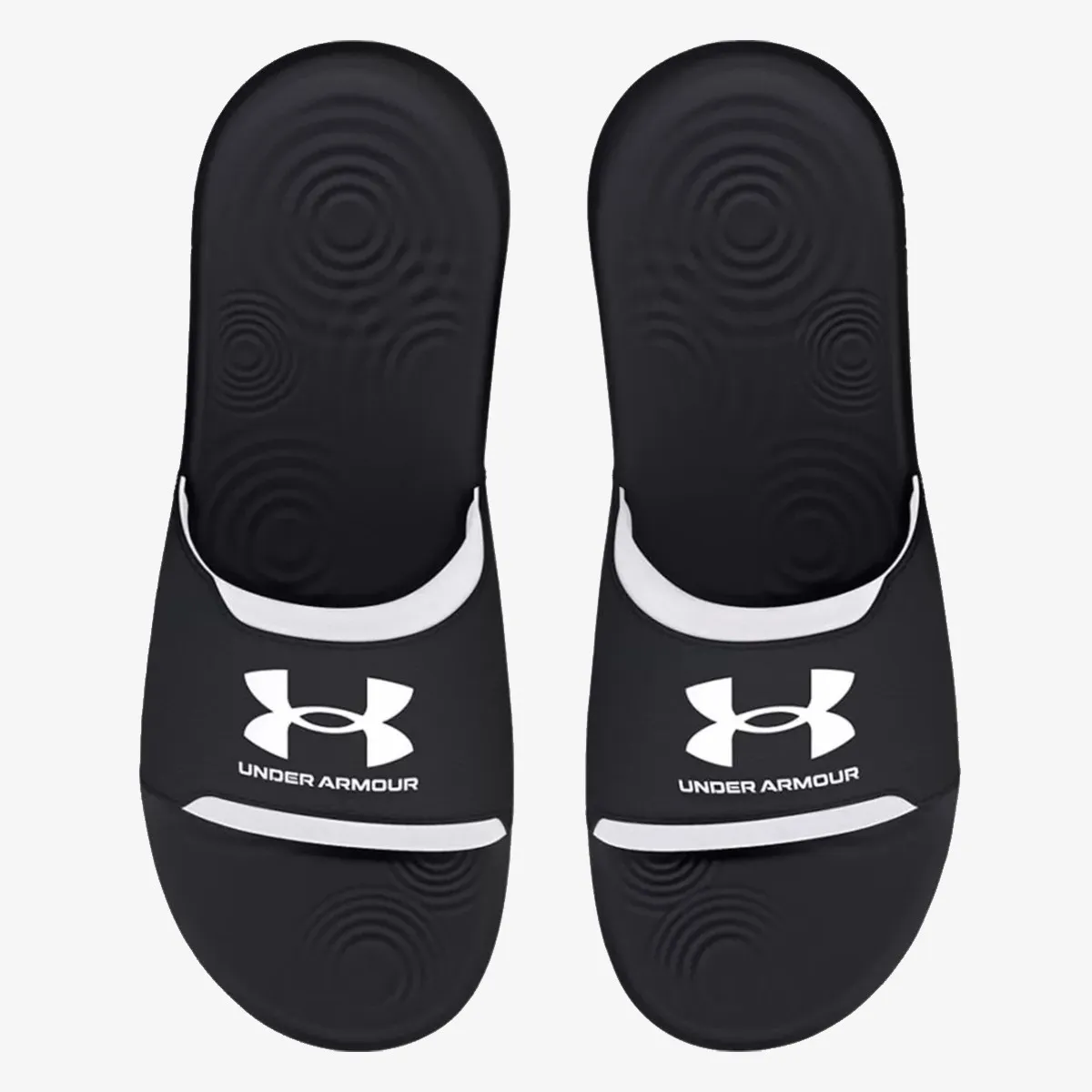 UNDER ARMOUR Papuče Ignite Select
