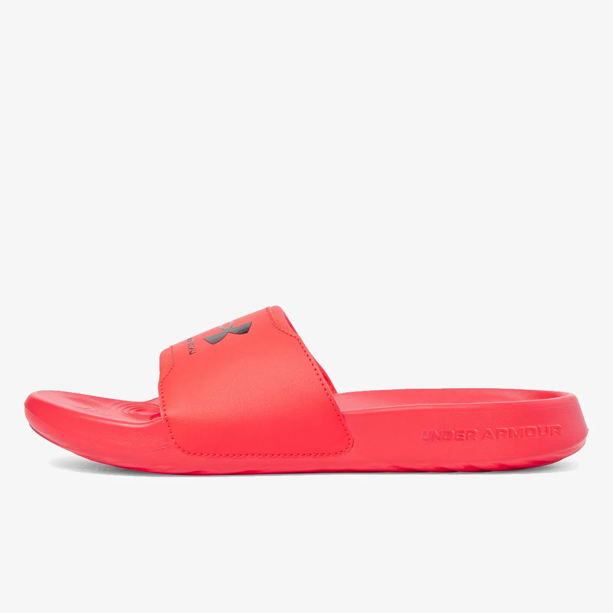 UNDER ARMOUR Papuče Ignite Select