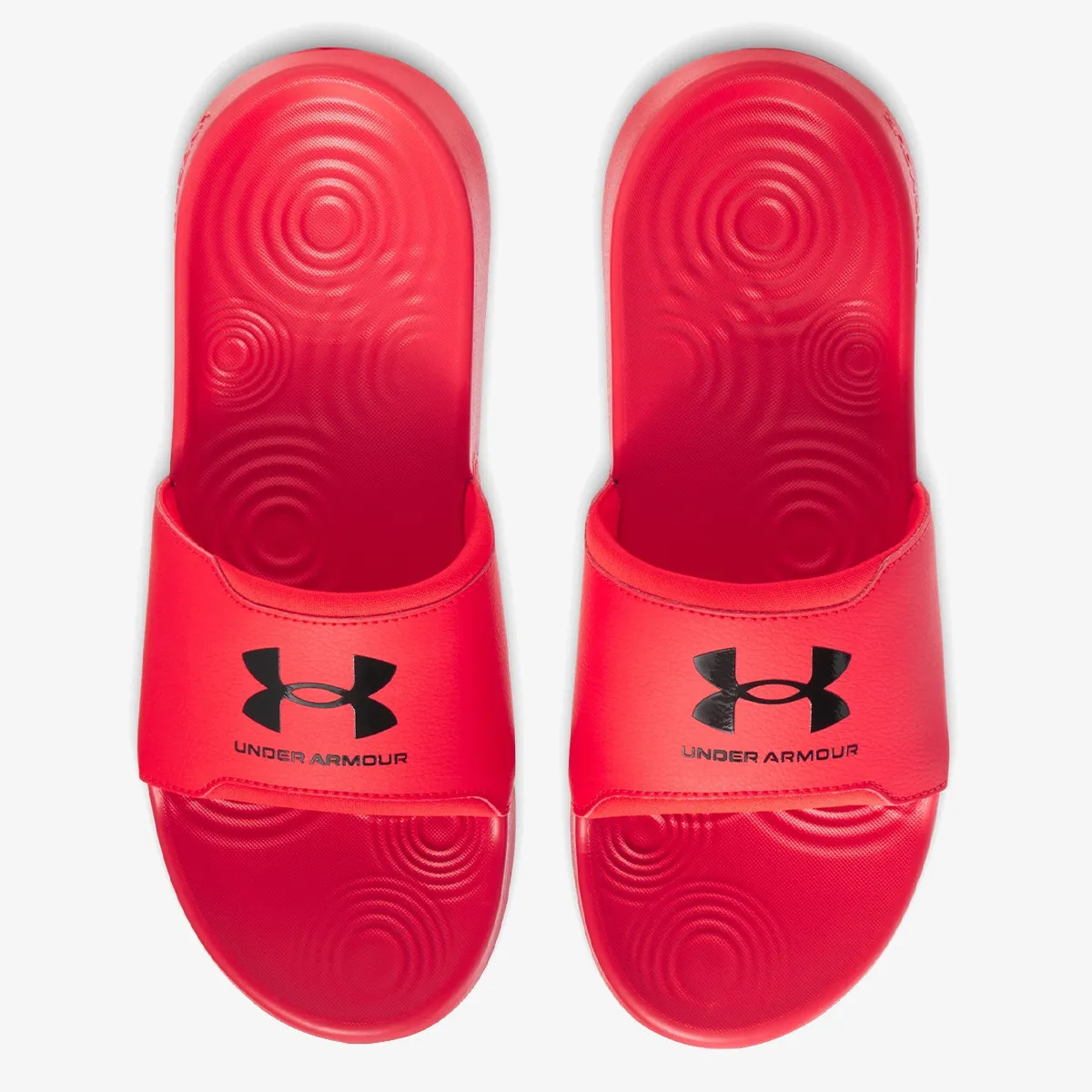 UNDER ARMOUR Papuče Ignite Select