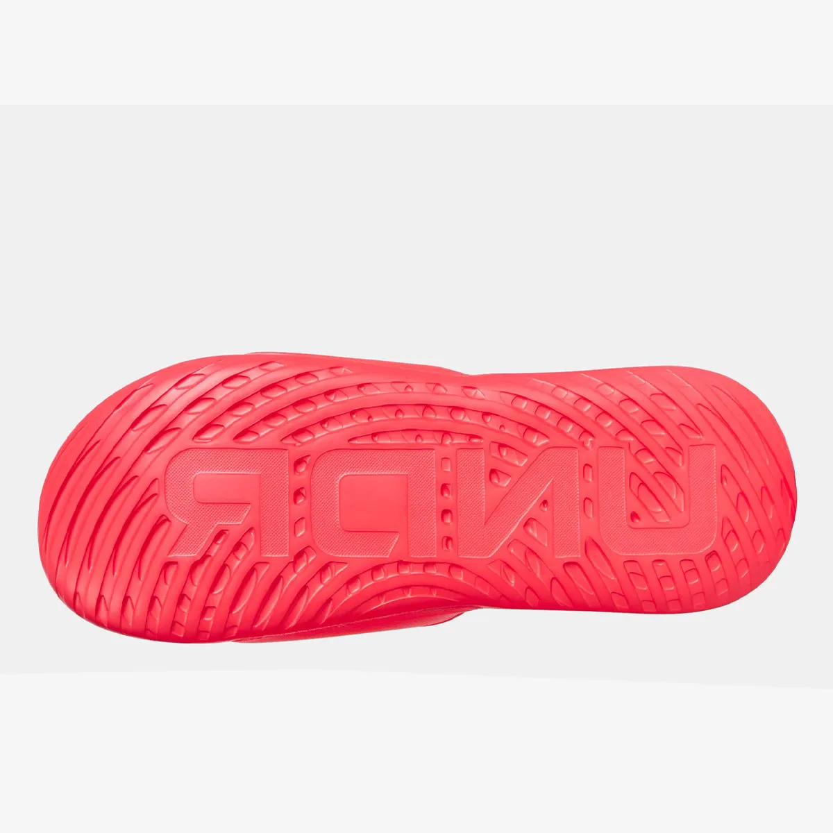 UNDER ARMOUR Papuče Ignite Select