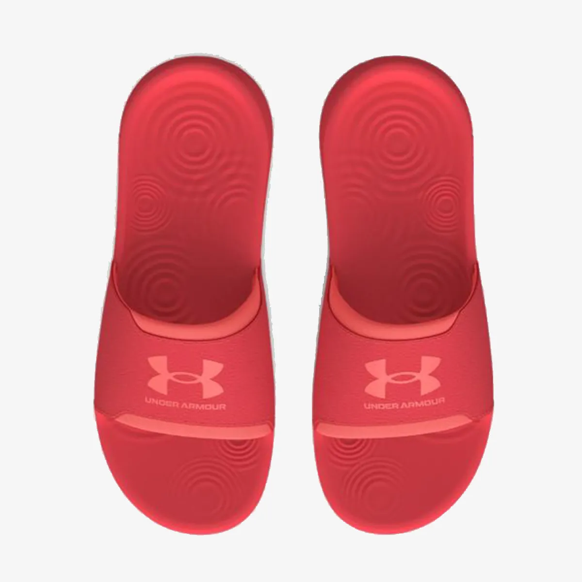 UNDER ARMOUR Papuče Ignite Select Graphic