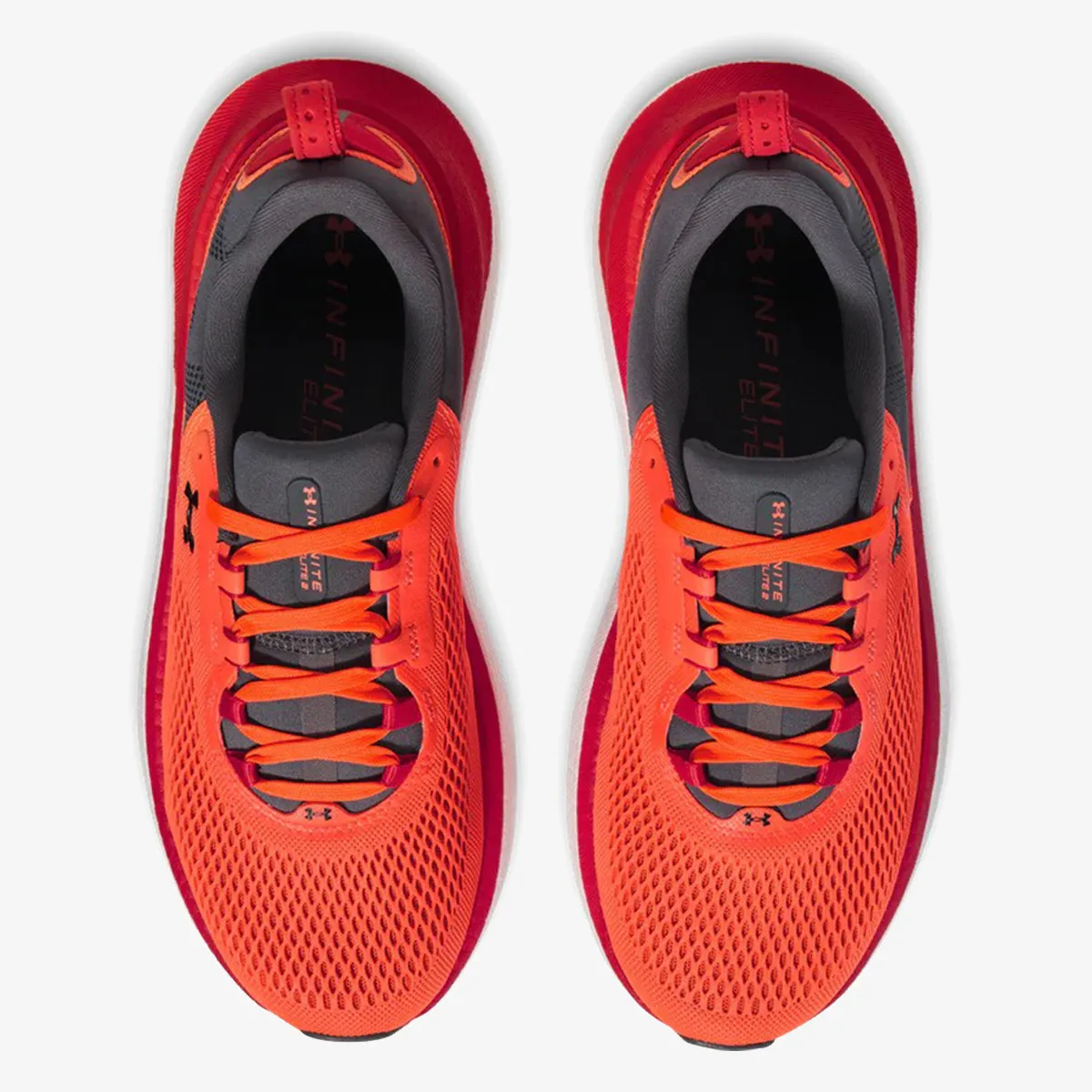 UNDER ARMOUR Patike Infinite Elite 2 