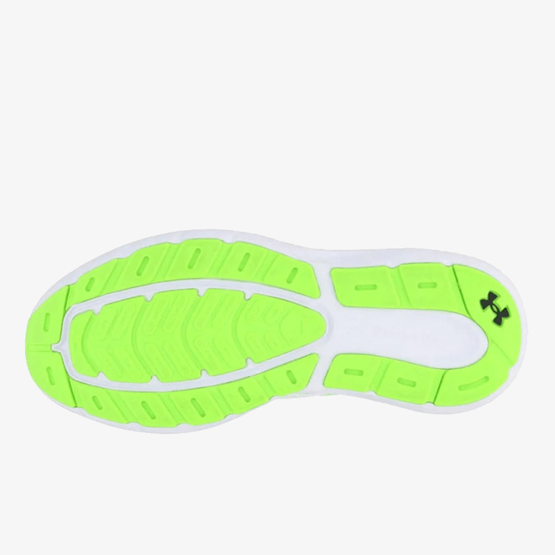 UNDER ARMOUR Patike Charged Rogue 5