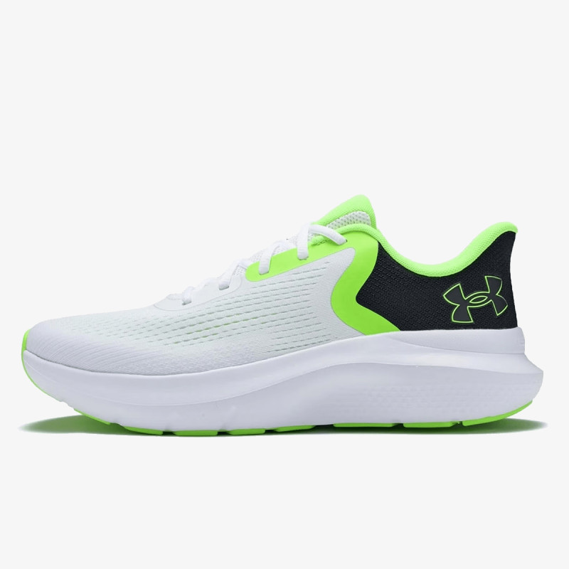 UNDER ARMOUR Patike Charged Rogue 5