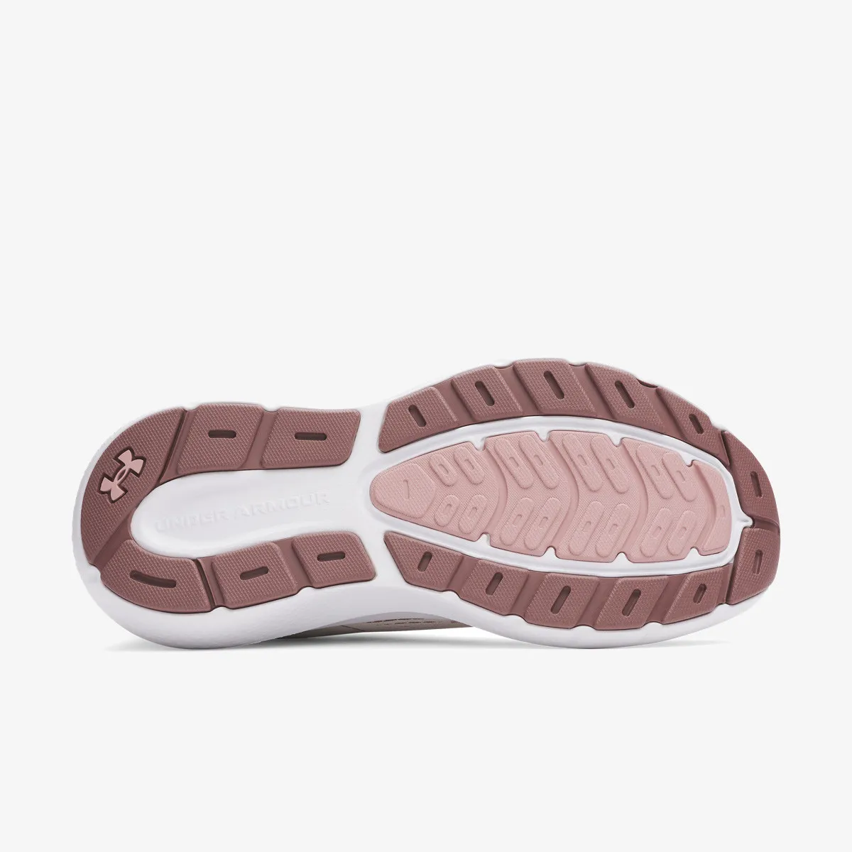 UNDER ARMOUR Patike Charged Rogue 5 