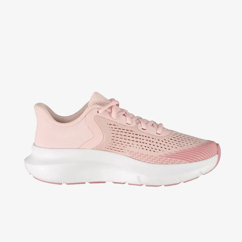 UNDER ARMOUR Patike Charged Rogue 5 