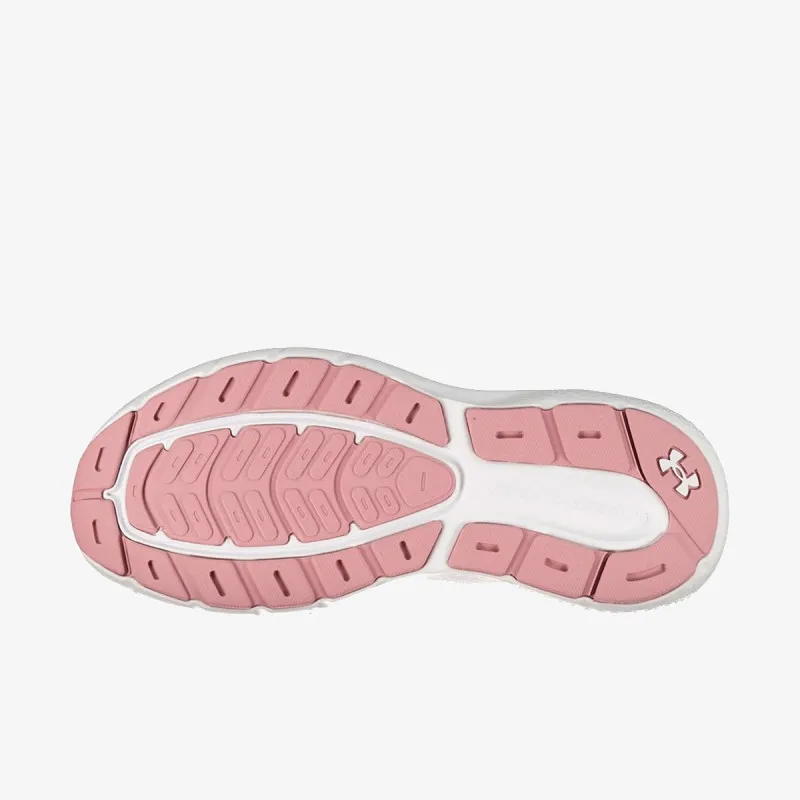 UNDER ARMOUR Patike Charged Rogue 5 