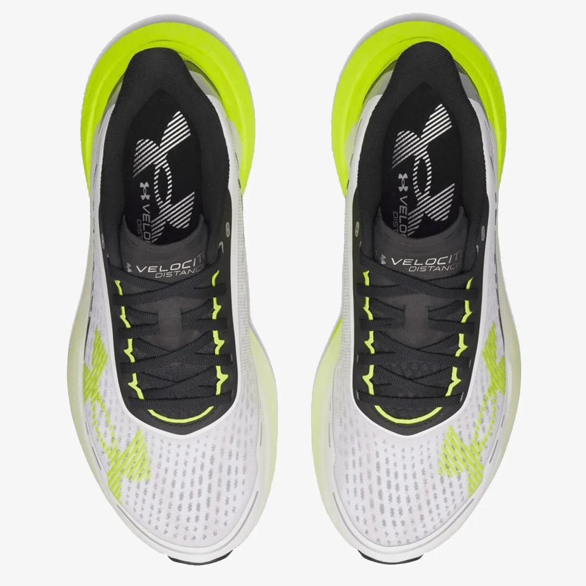 UNDER ARMOUR Patike UA Velociti Pace 