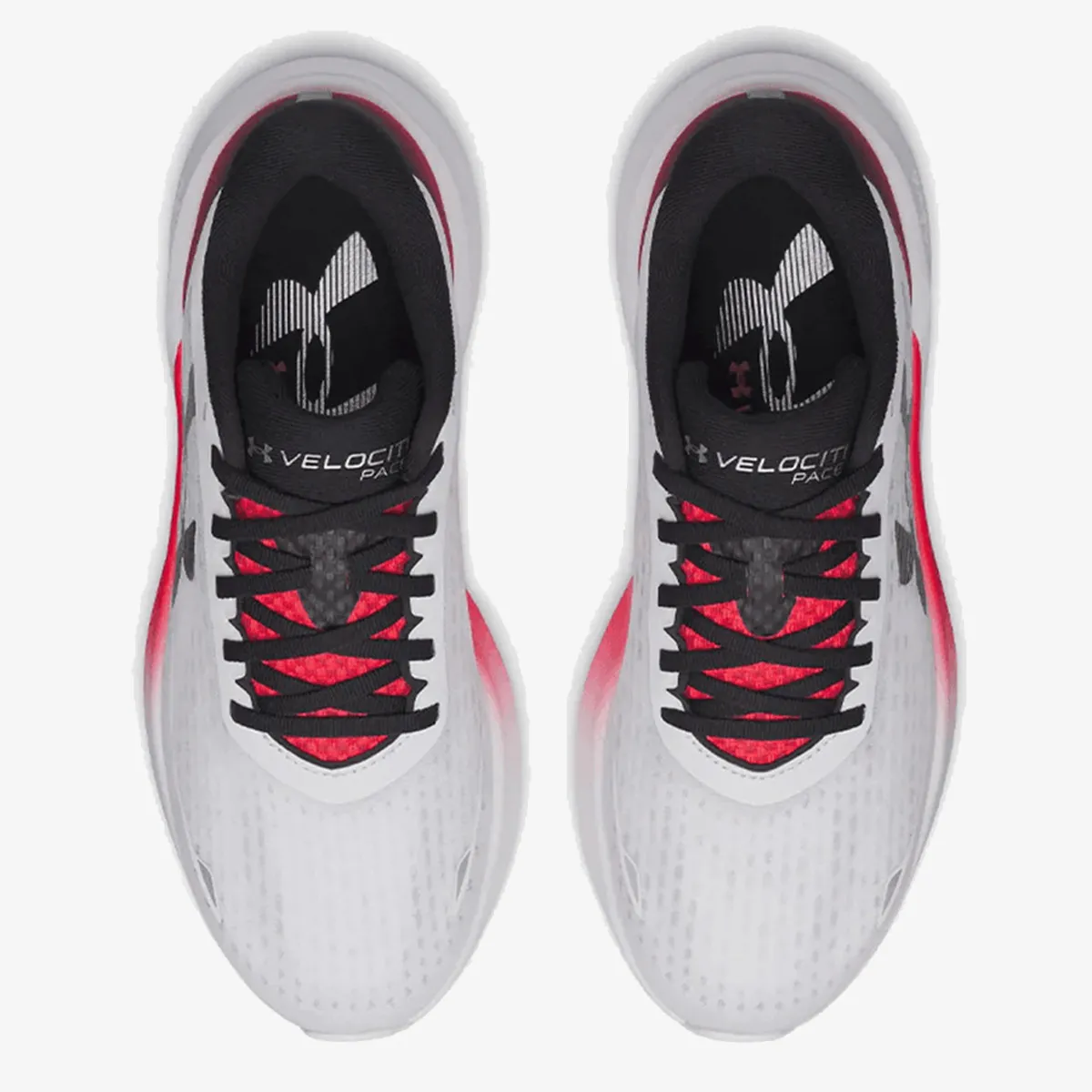 UNDER ARMOUR Patike Velociti Pace 