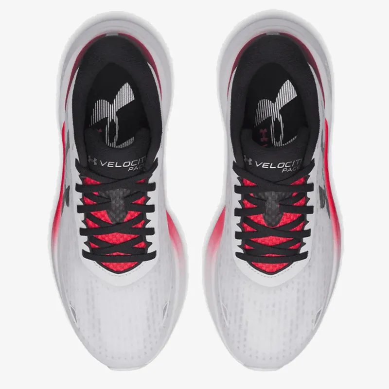 UNDER ARMOUR Patike Velociti Pace 