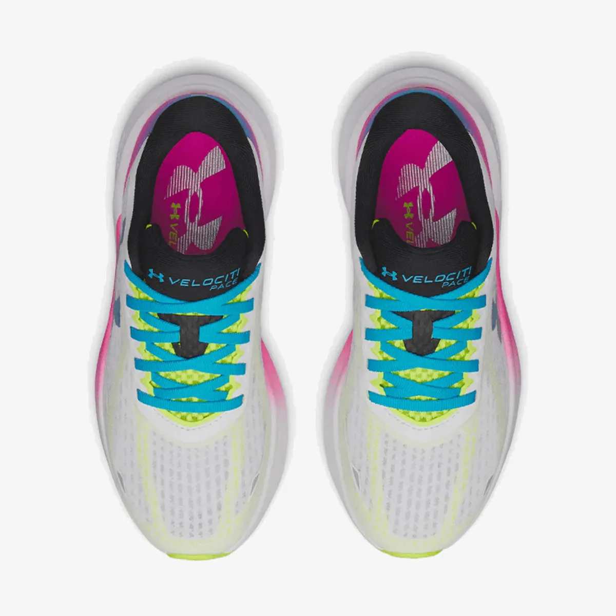 UNDER ARMOUR Patike Velociti Pace 
