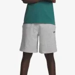 UNDER ARMOUR Šorc UA Rival LW Shorts 