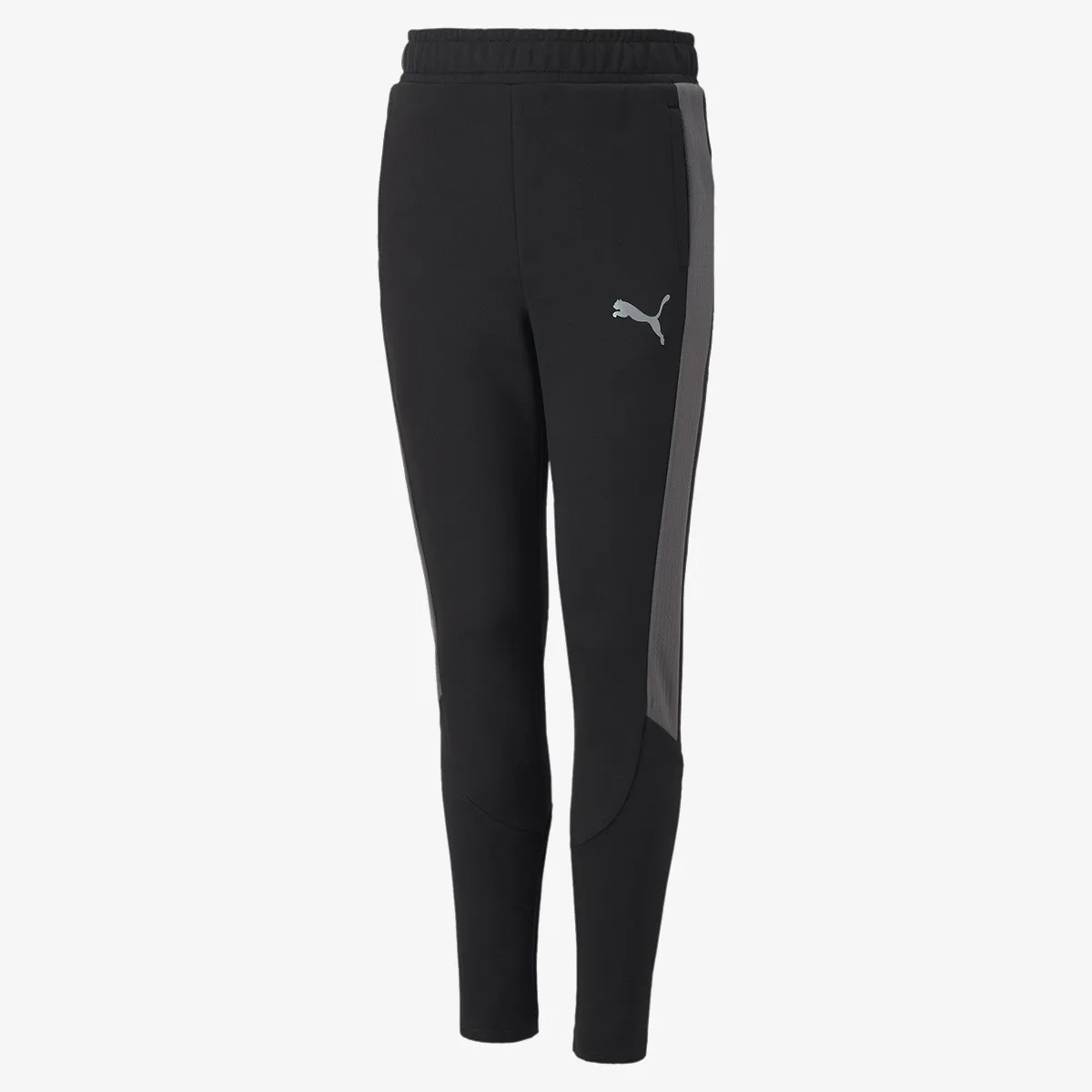 PUMA Donji deo trenerke EVOSTRIPE