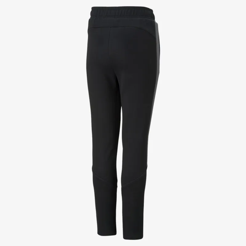 PUMA Donji deo trenerke EVOSTRIPE