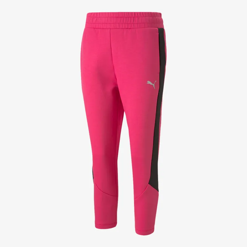 PUMA Donji deo trenerke EVOSTRIPE