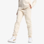 PUMA Donji deo trenerke Evostripe 