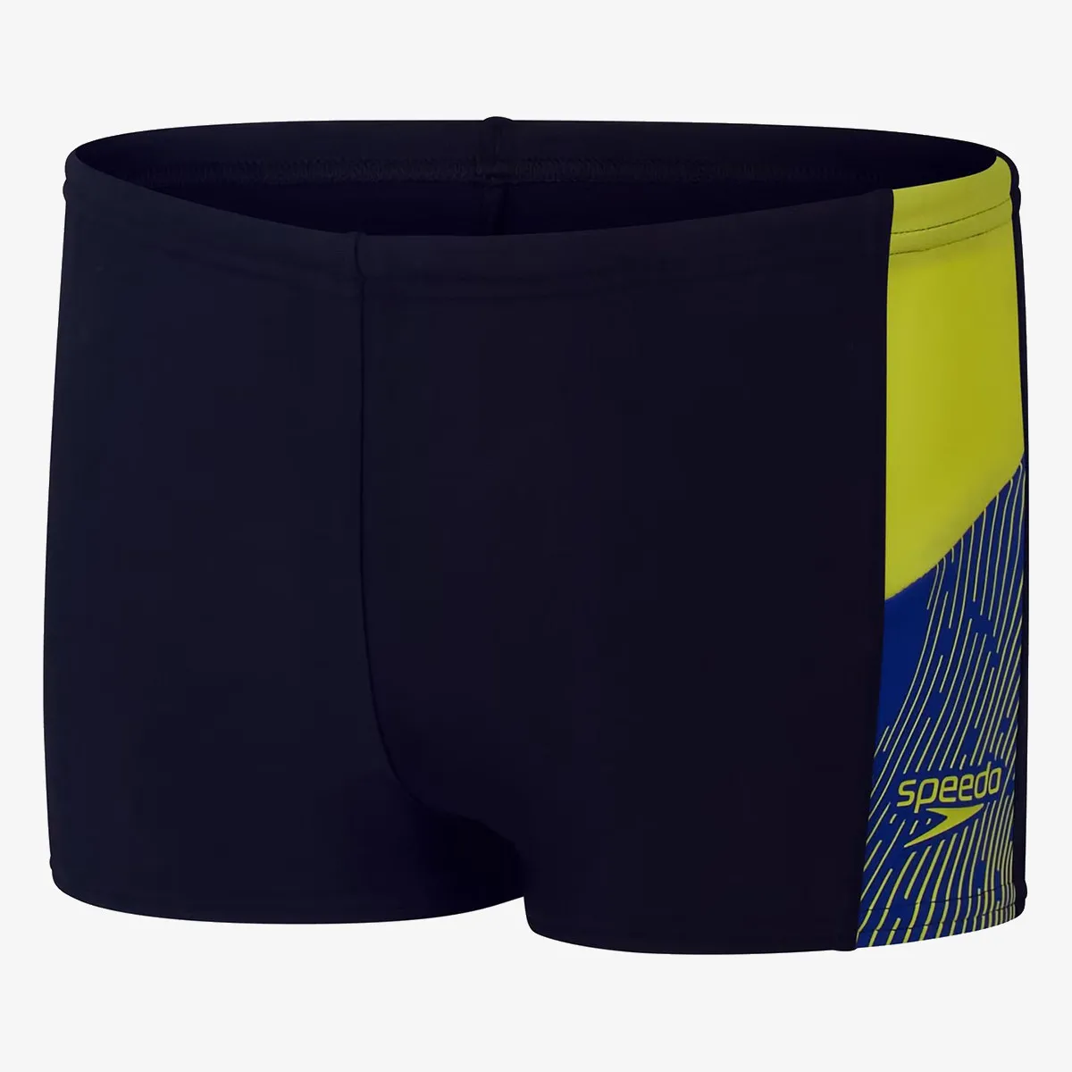 SPEEDO Kupaće gaće Dive