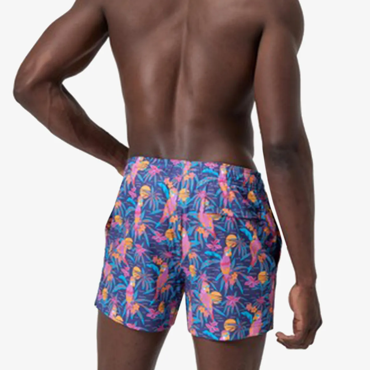 SPEEDO Šorc Redondo Edge