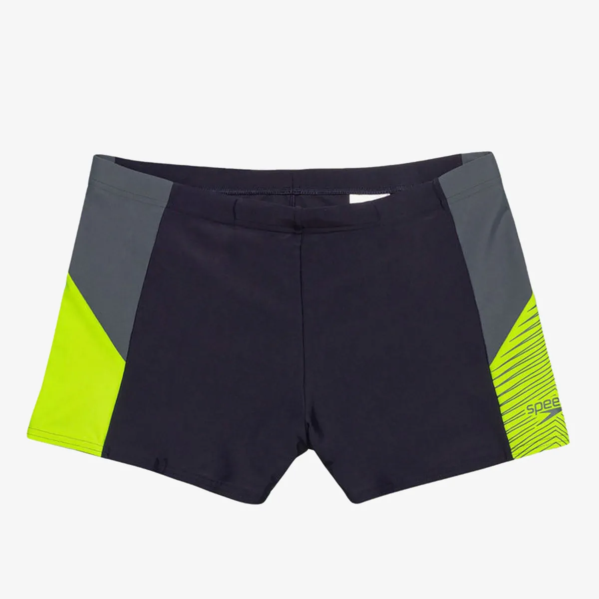 SPEEDO Kupaće gaće DIVE ASHT JM
