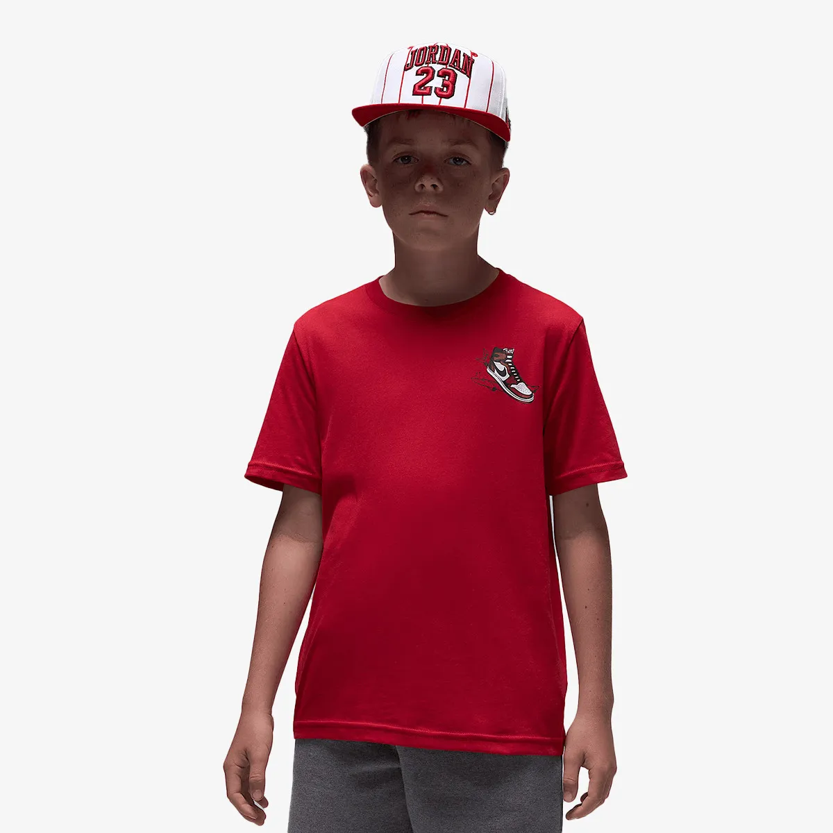 JORDAN Majica Air Jordan Has Landed 