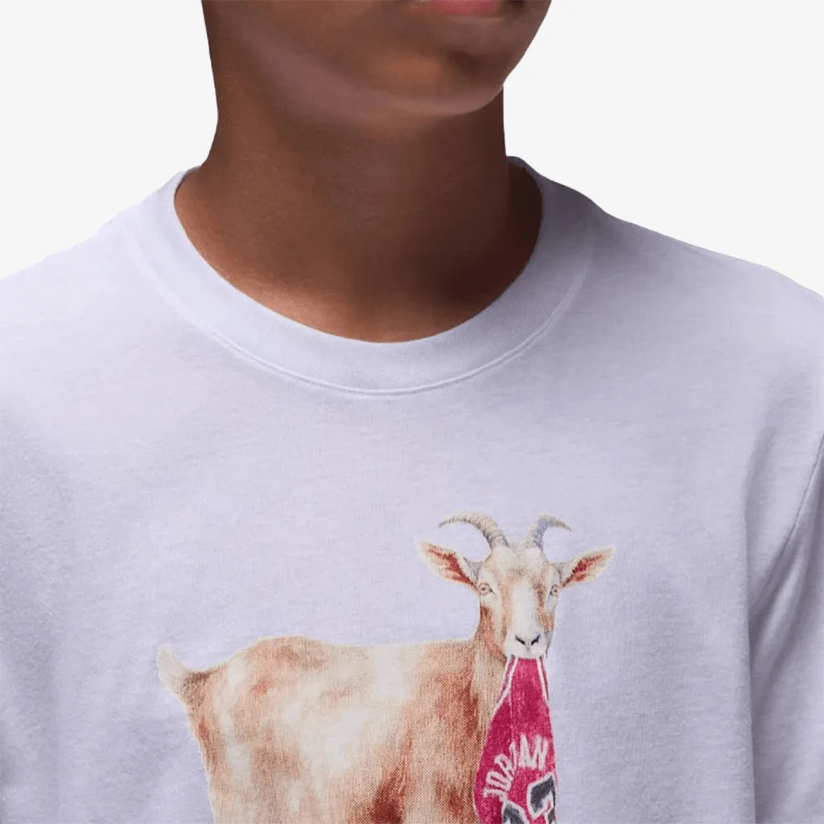 JORDAN Majica JDB MJ FLT GOAT SS CREW 