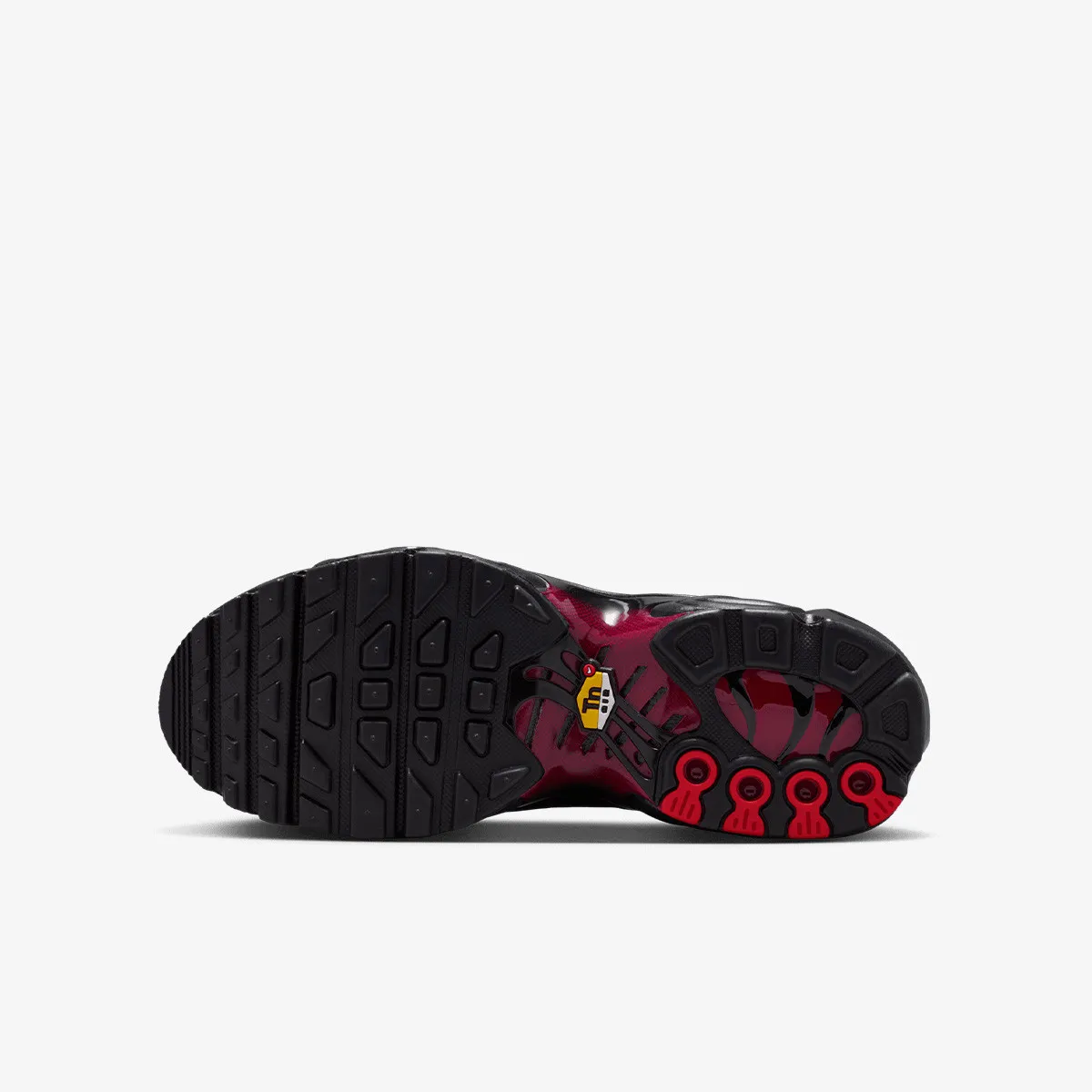NIKE Patike AIR MAX PLUS BG