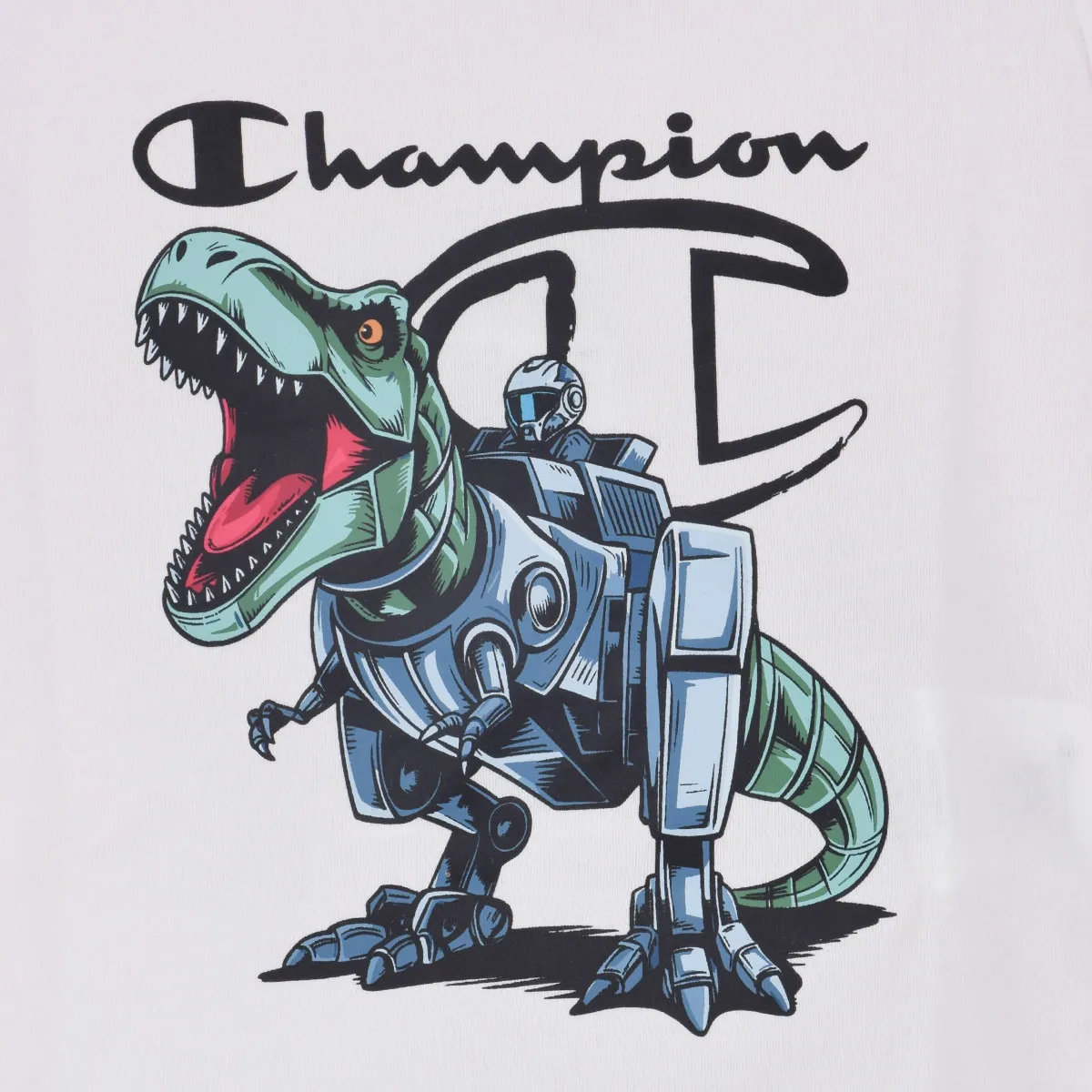 CHAMPION ŠORC I MAJICA CHMP DINO SET 