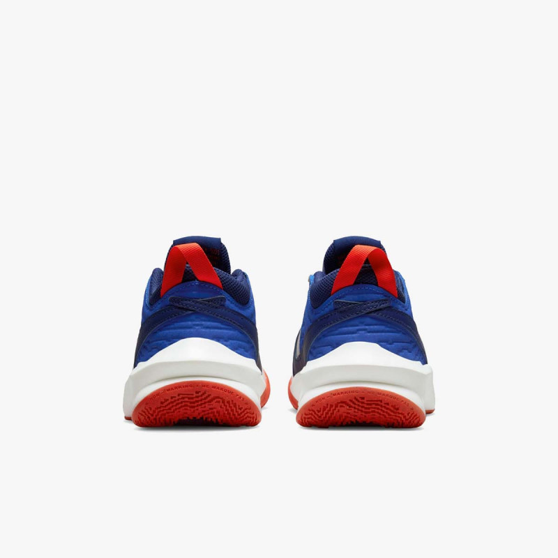 NIKE Patike Team Hustle D 10
