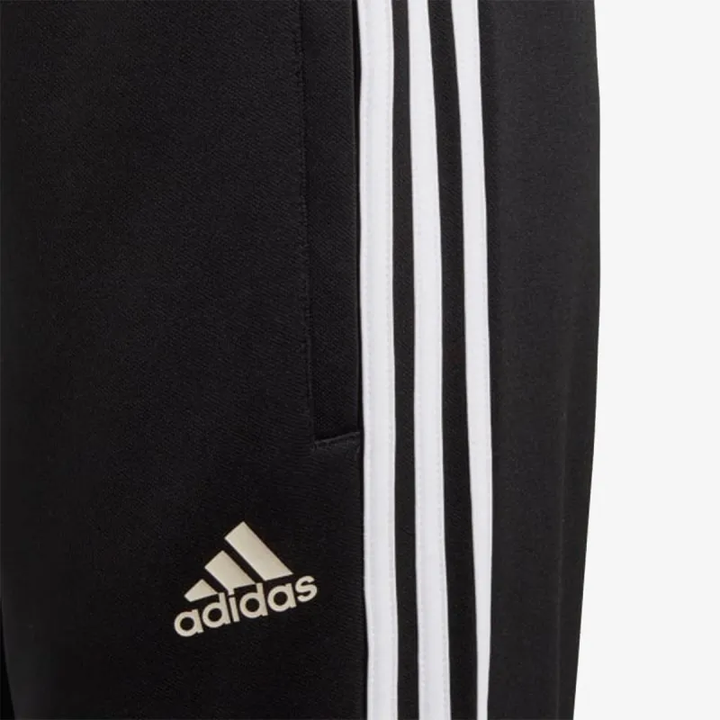 ADIDAS Donji deo trenerke TAN TR PNTY