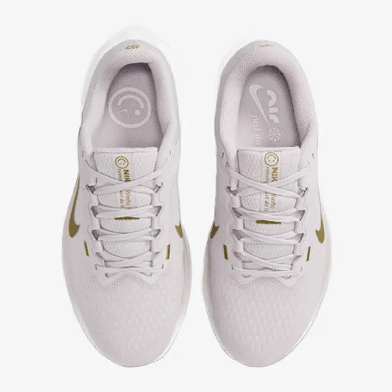 NIKE Patike W AIR WINFLO 10 