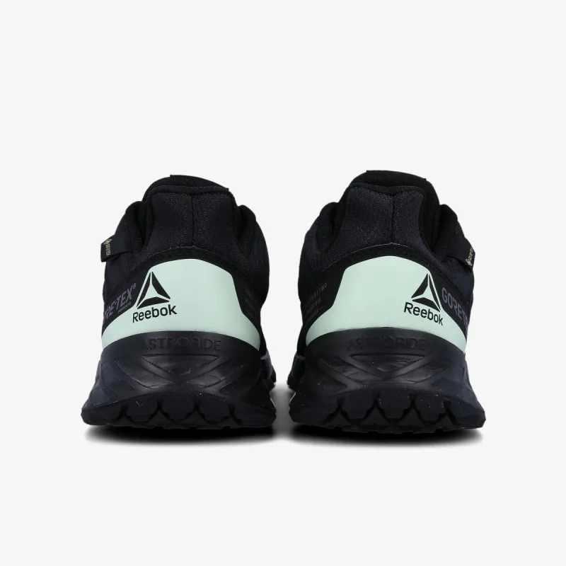REEBOK Patike ASTRORIDE TRAIL GTX 2.0 