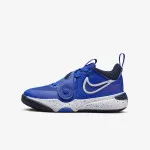 NIKE Patike Team Hustle D 11 