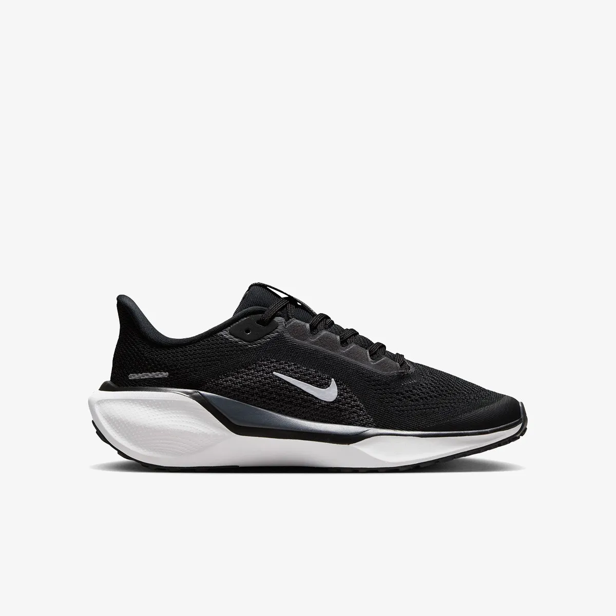 NIKE Patike Pegasus 41 