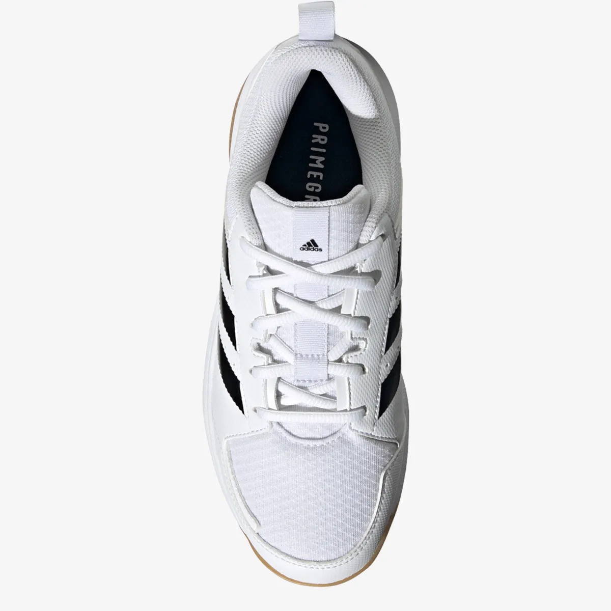 ADIDAS Patike Ligra 7 Indoor 