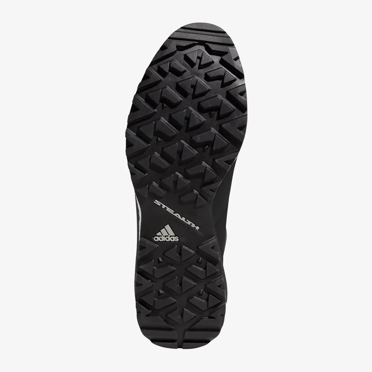ADIDAS Cipele TERREX PATHMAKER R.RDY