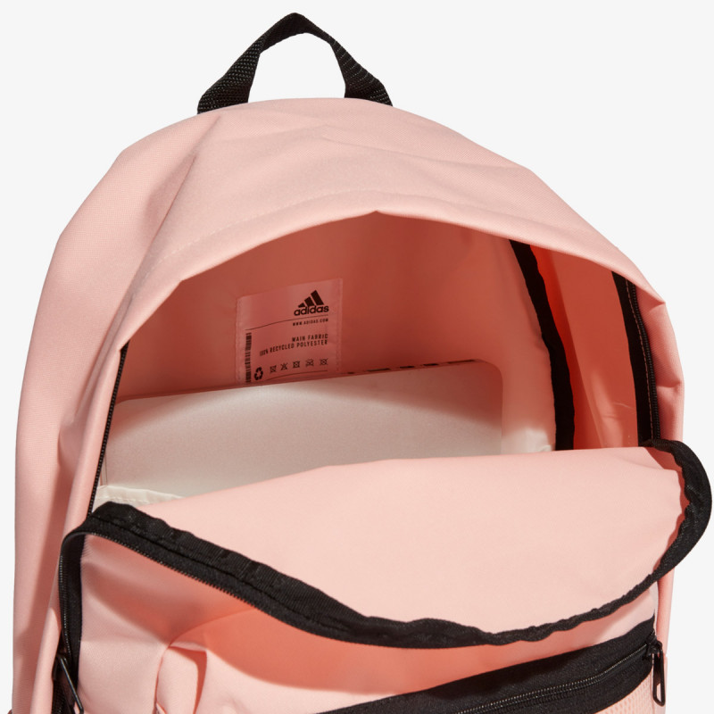 Clas 2025 bp 3s